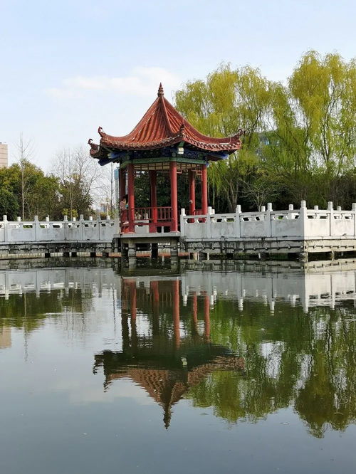 四月,共赴一场惊鸿的美 最美河职四月天 河南科技职业大学 零二七艺考